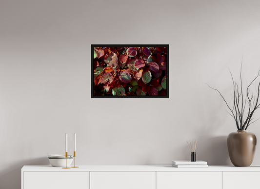 24 x 16″, Floater Frame A Pop of Color on acrylic glass