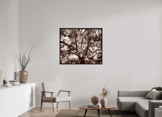 41.3 x 35″, Floater Frame The Tree on acrylic glass