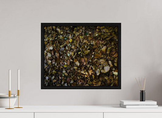 19.8 x 16″, Floater Frame Fall on acrylic glass