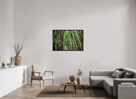 45 x 30″, Floater Frame Bamboo Forest on acrylic glass