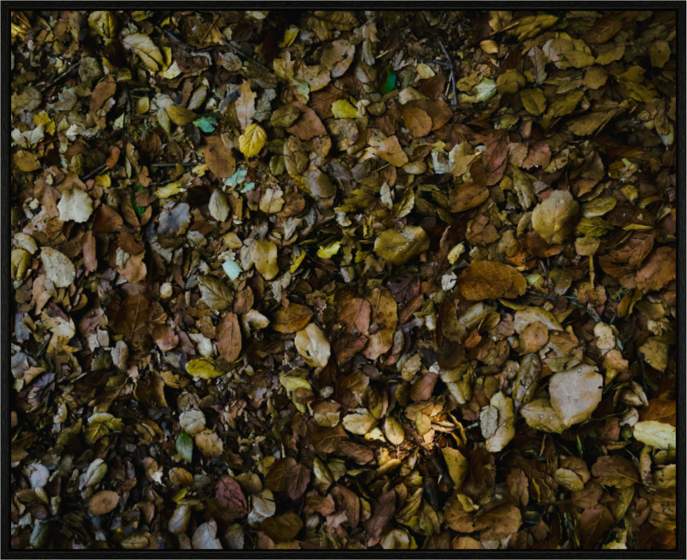 Main image Fall on acrylic glass