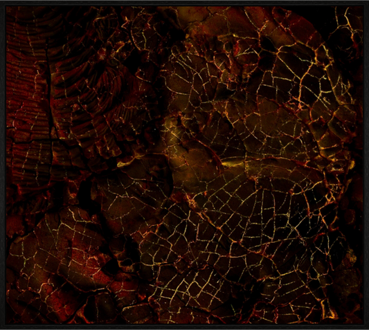 Main image Shattered on acrylic glass