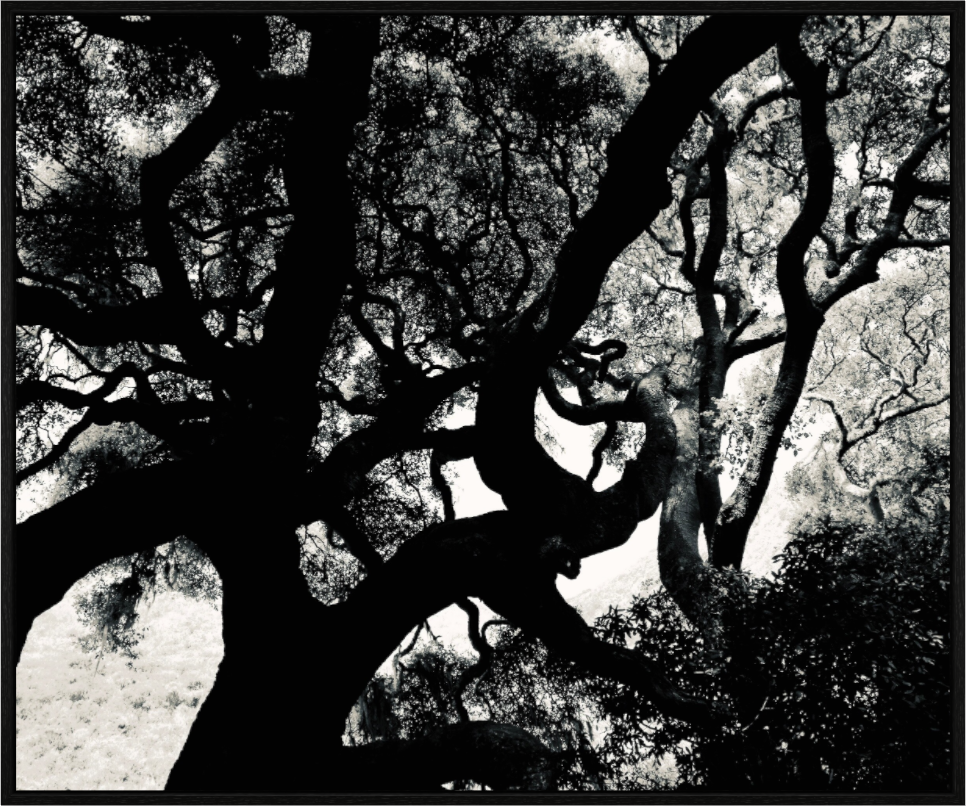 Main image Whoa! on acrylic glass