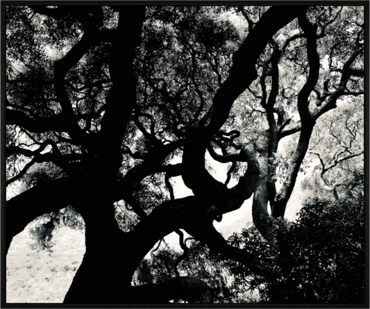 Main image Whoa! on acrylic glass