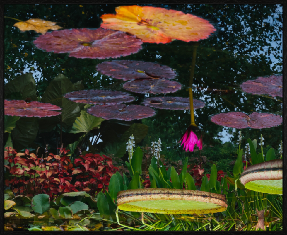 Main image Upside Down on acrylic glass