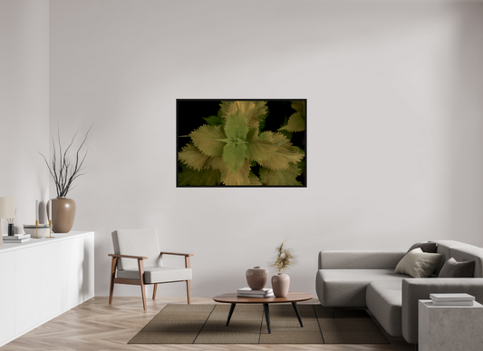 54 x 36″, Floater Frame Painted Nettle on acrylic glass