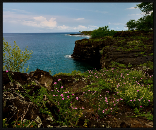 Main image Lava Flowers on acrylic glass