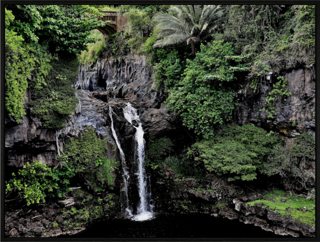 Main image One of Many on acrylic glass