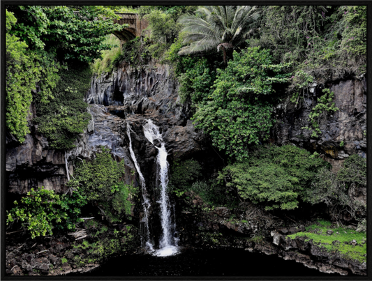 Main image One of Many on acrylic glass