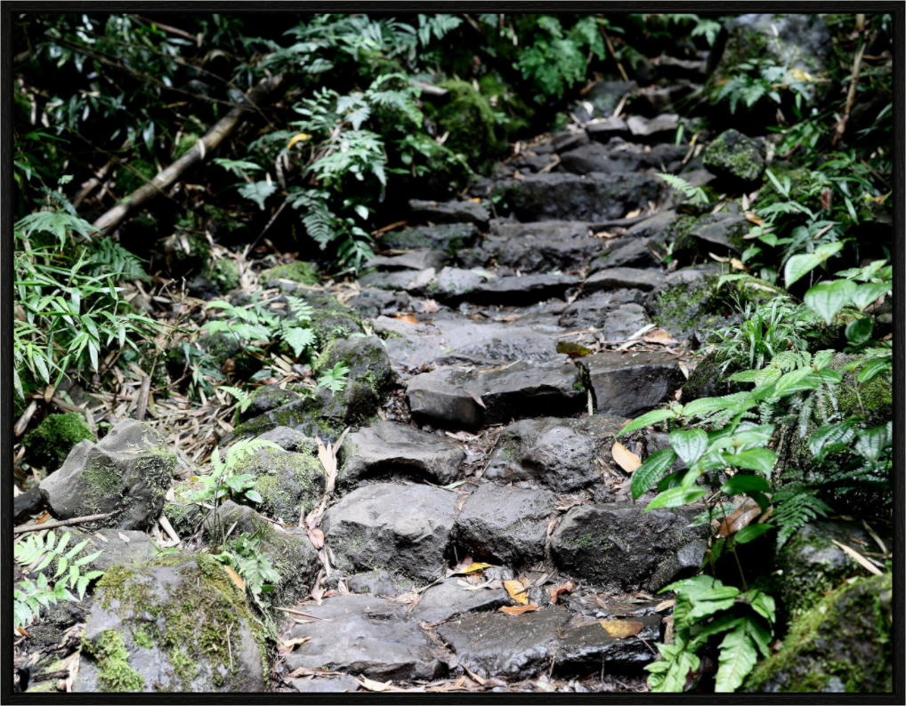 Main image One Step At A Time on acrylic glass