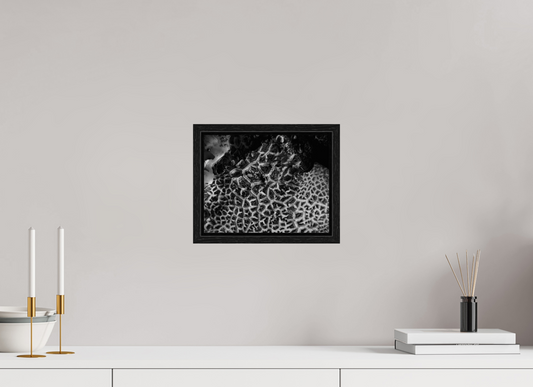 10.2 x 8″, Floater Frame A Maze