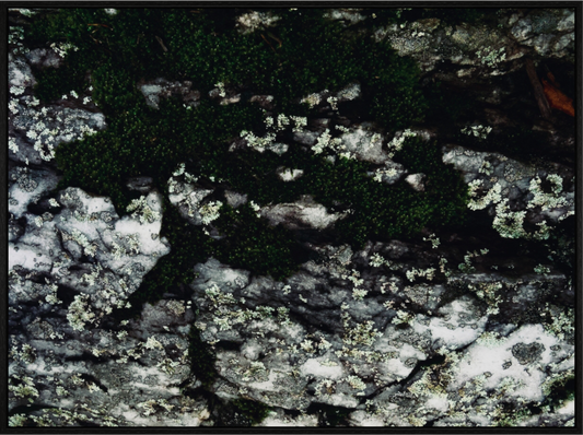 Main image Heart Found Here on acrylic glass