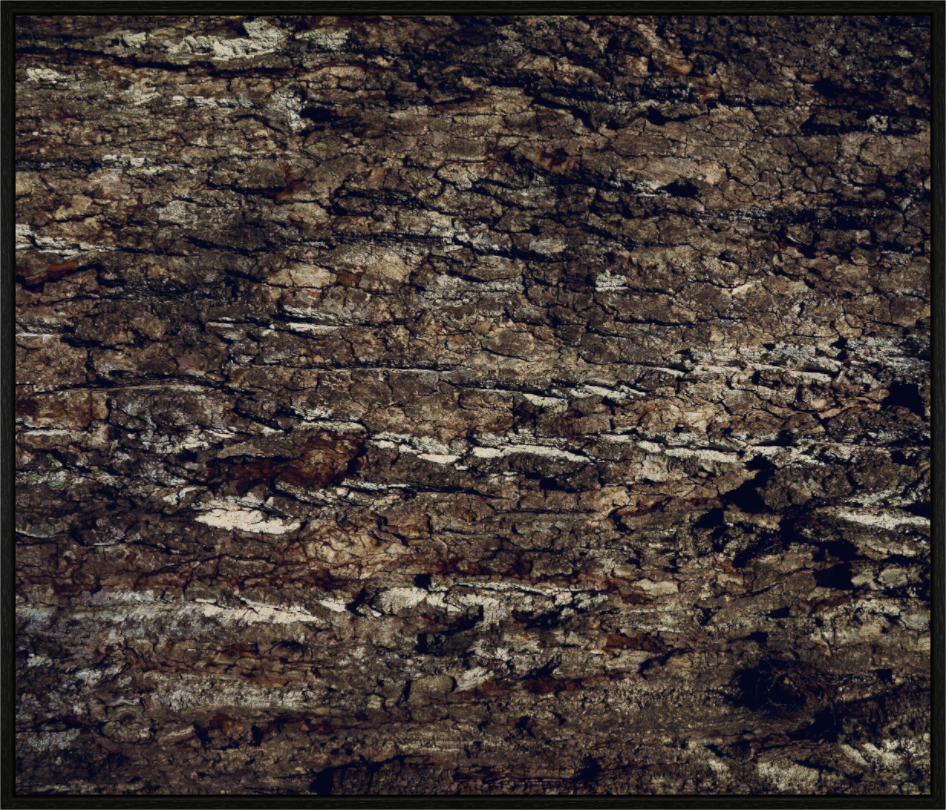 Main image Symmetry on acrylic glass