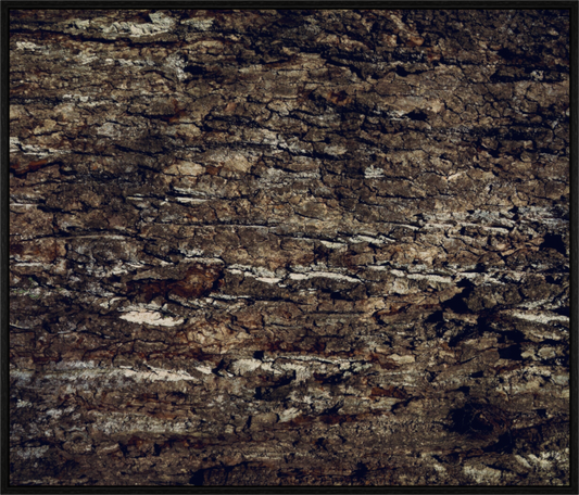 Main image Symmetry on acrylic glass